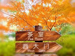 -汇龙潭
