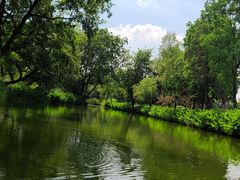 -西溪国家湿地公园