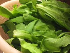 蓬蒿菜-颐品居涮肉(乌鲁木齐中路店)