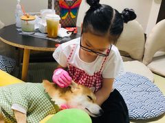 -逗柴咖啡屋·狗咖猫咖宠物桌游