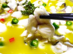 青花椒味砂锅鱼-青花椒花椒鱼(合生汇店)