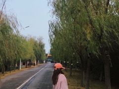 -艾溪湖湿地公园