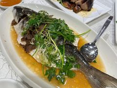 -大荣华酒楼(元朗老店)