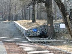 -阳台山自然风景区