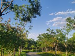 -东郊湿地公园