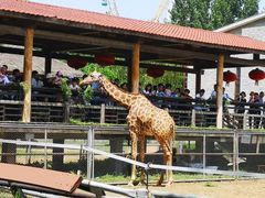 -石家庄市动物园