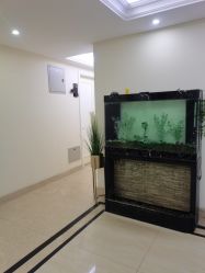 -VE专注问题肌·赛诺龙&科学美肤中心