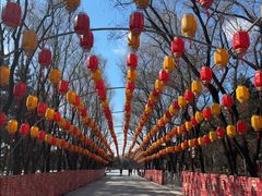 -沈阳市东陵公园