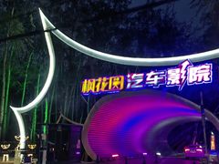 -枫花园汽车电影院(朝阳公园店)