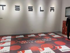 -TESLA 特斯拉(北京颐堤港体验店)