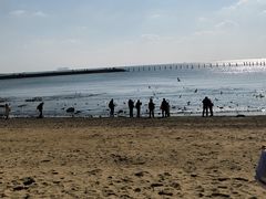 -青岛第二海水浴场