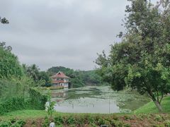 -野象谷景区