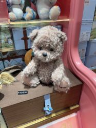 -TeddyTales莉娜熊(国贸店)
