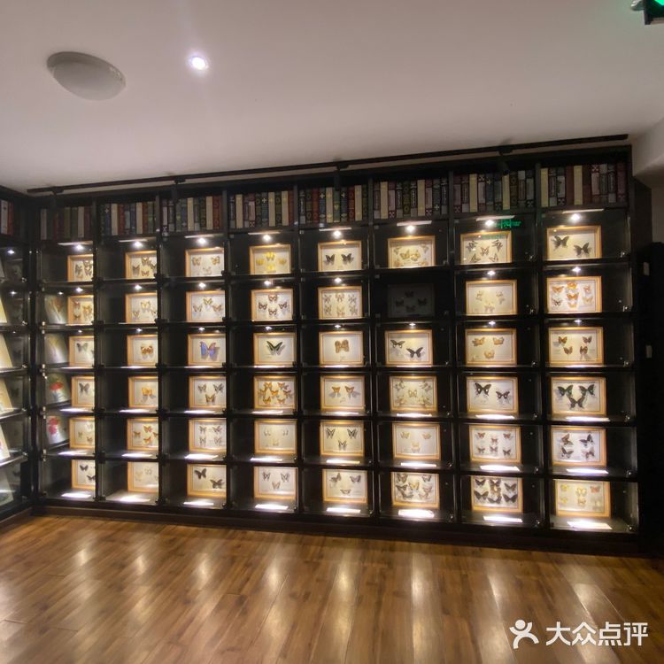 我真的不是来到了重庆洛杉矶分矶？南之山书店观景台绝美！