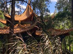 -昆明动物园
