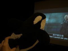 -极光点播影院·Switch.游戏馆(世界之窗店)