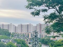 -白石龙音乐公园