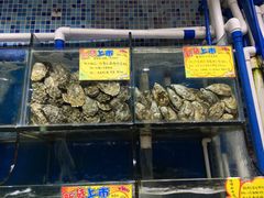 水产区-蚝专家(北滘店)