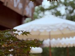 -宁波九龙湖开元度假村