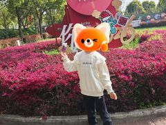 -菊园百果园
