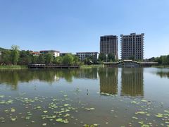 -西海子公园