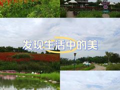 -北京国际鲜花港