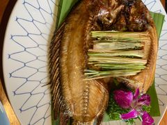 -紫滇源云南生态菜(丹凤街店)