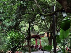 -西湖公园(鼓楼区)