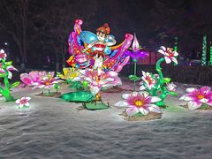 -沈阳奥体冰雪嘉年华