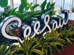 -Seesaw Coffee(朝阳大悦城店)