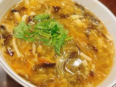 -高雄杨宝宝锅贴