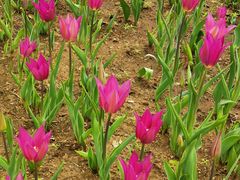 -长春公园(普阳街道)