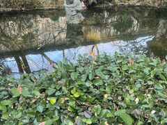 -杭州黄龙洞