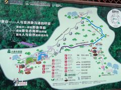 -野象谷景区