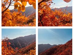-妙峰山风景名胜区