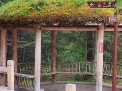 -黄龙山原始森林景区