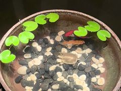 -曲水兰亭(北京四惠店)