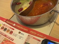 -呷哺呷哺 黄金牧场 (新辰里学清路店)