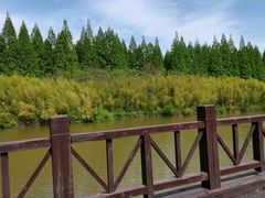 -黄海国家森林公园