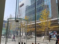 -Apple零售店(华贸购物中心店)