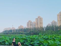 -前关湿地公园