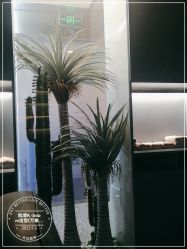 -凯博K-boom Hair Salon
