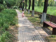 -东升八家郊野公园