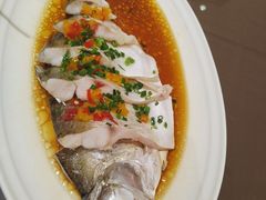 -湖北三五醇酒店·35年新楚菜
