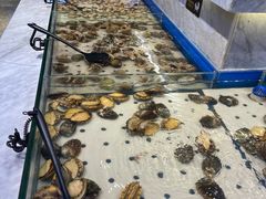 -川骄海鲜自助(河东店)