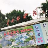  【攻略】跟着我一起玩转华南植物园