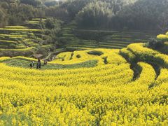 -灵山景区梯田