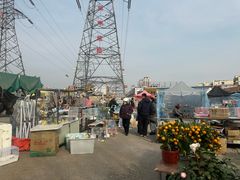 -中环花鸟鱼虫市场