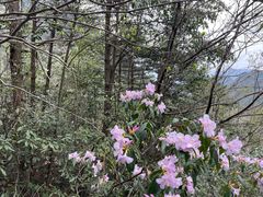 -大明山自然探索公园