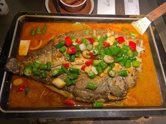 海鲈鱼-炉鱼(萧山万象汇店)